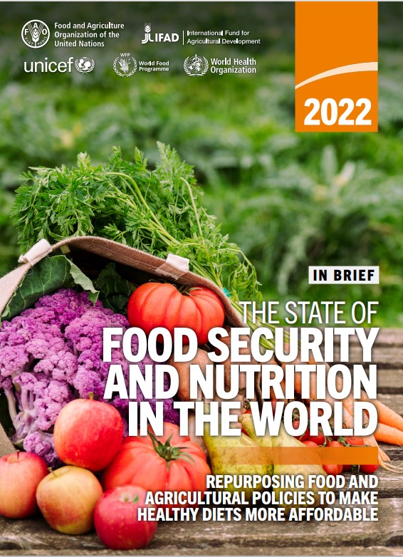 In Brief to the state of food security and nutrition in the World 2022: Repurposing food and agricultural policies to make healthy diets more affordable